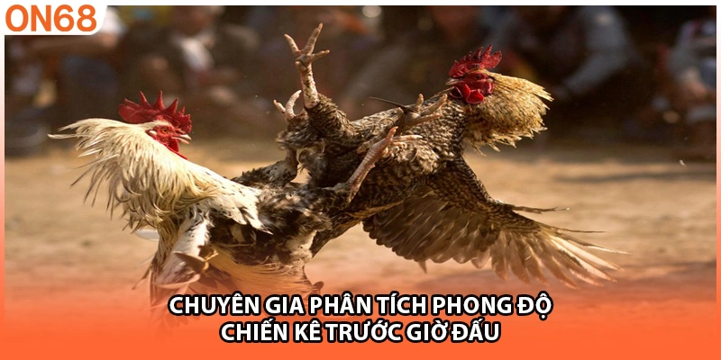 Chuyên gia phân tích phong độ chiến kê trước giờ đấu